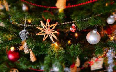 Frohe Weihnachten und einen guten Rutsch ins neue Jahr!
